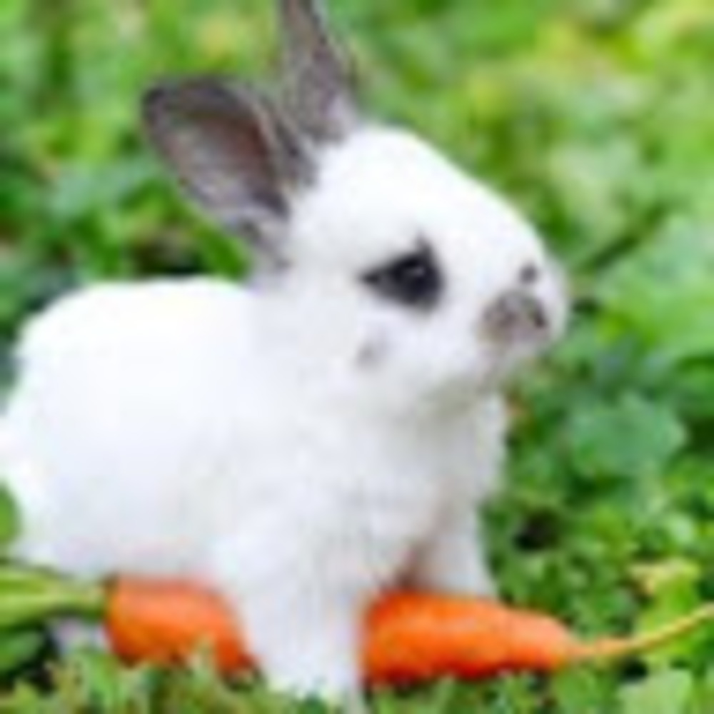 Meet your Posher, Melody